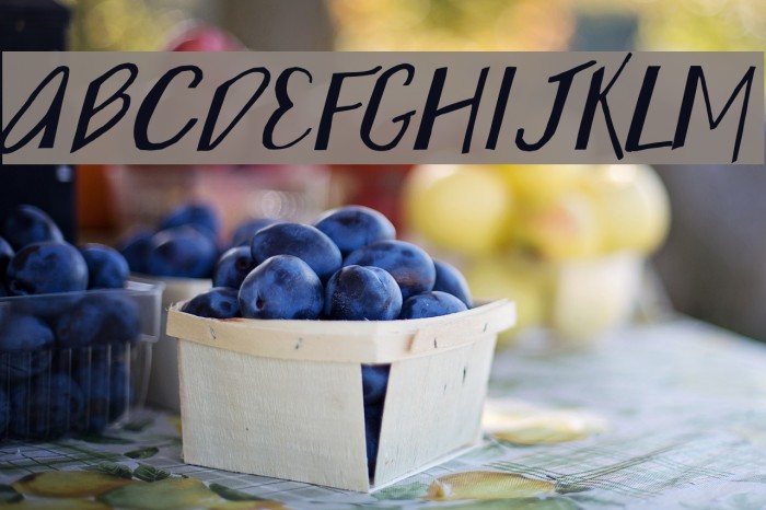 Wonky Printed Italic Font examples