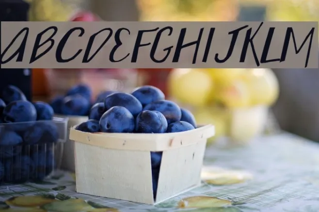 Wonky Printed Italic Example 2