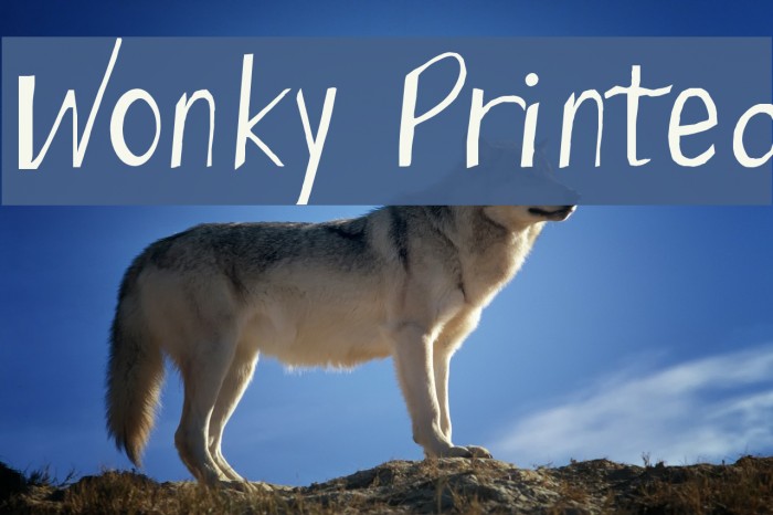 Wonky Printed Font examples