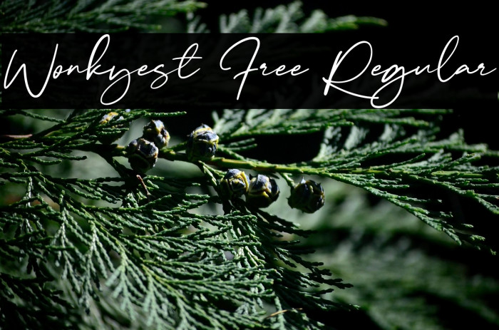 Wonkyest Free Regular Example 1