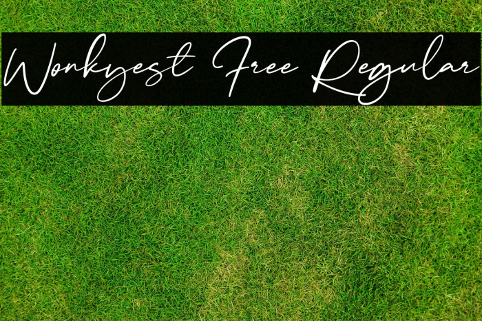 Wonkyest Free Regular Example 2