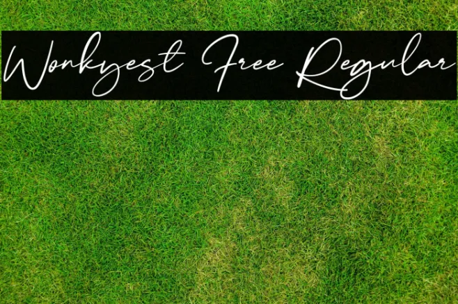 Wonkyest Free Regular Example 2