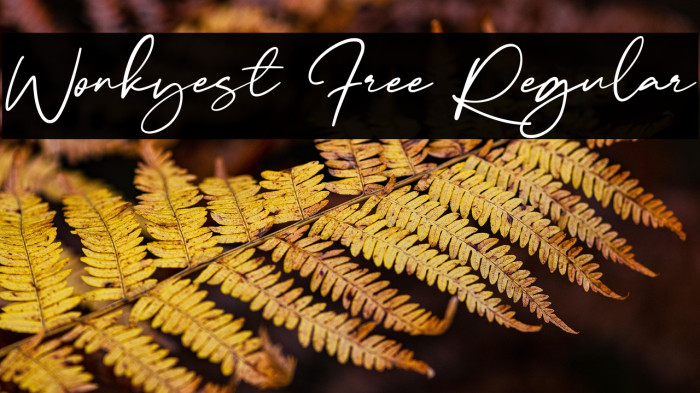 Wonkyest Free Regular Example 3