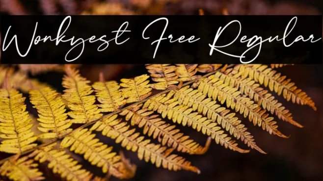 Wonkyest Free Regular Example 3