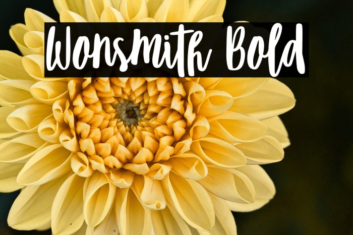 Wonsmith Bold Example 3