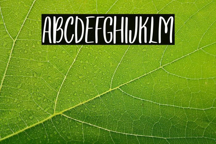 Wonsmith Regular Example 1