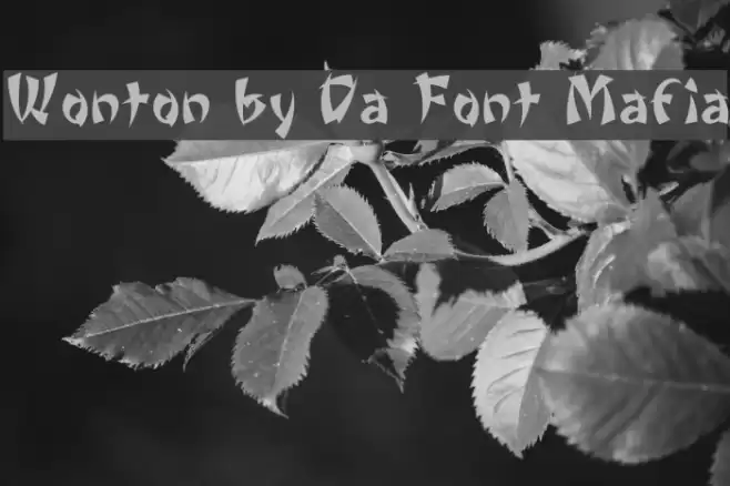 Wonton by Da Font Mafia Schriftart examples