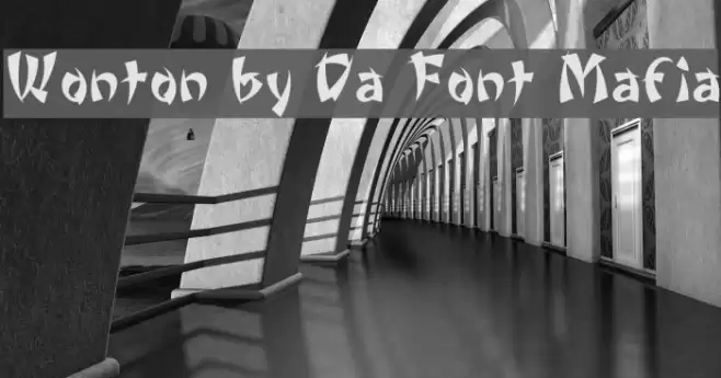 Wonton by Da Font Mafia Schriftart examples