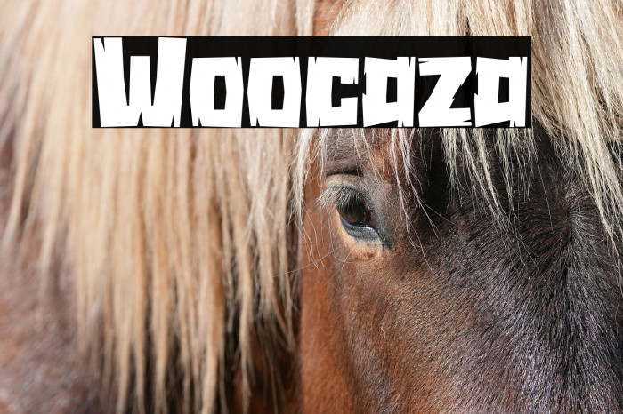 Woocaza Example 2