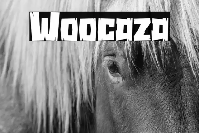 Woocaza Font examples