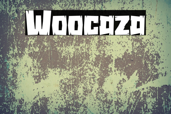 Woocaza Example 3