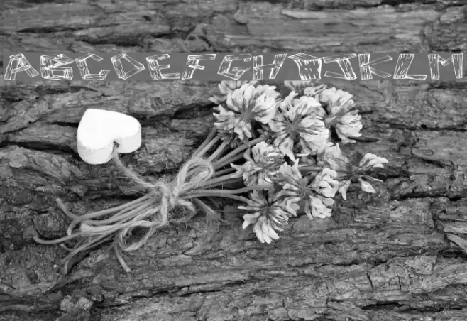 Wood 2 Font examples