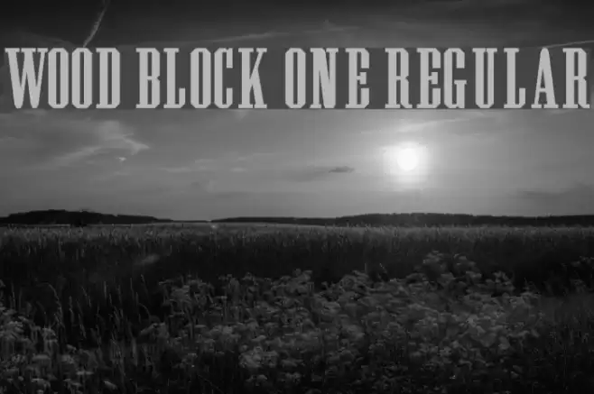 Wood Block One Regular Шрифта examples