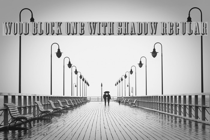 Wood Block One With Shadow Regular Font examples
