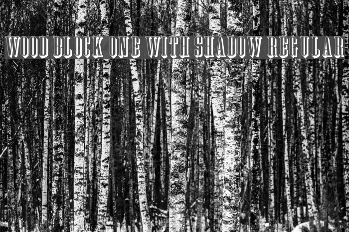 Wood Block One With Shadow Regular Font examples