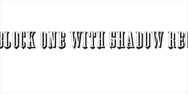 Wood Block One With Shadow Regular Logo