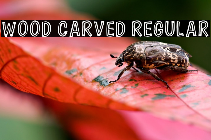 Wood Carved Regular Example 2