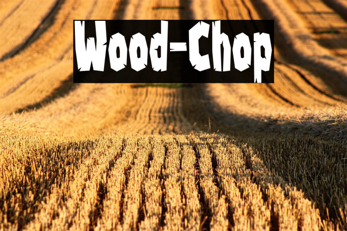 Wood-Chop Example 3