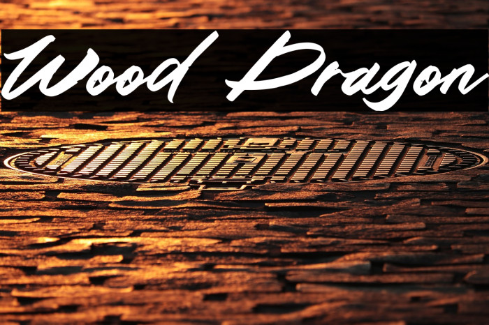 Wood Dragon Example 3