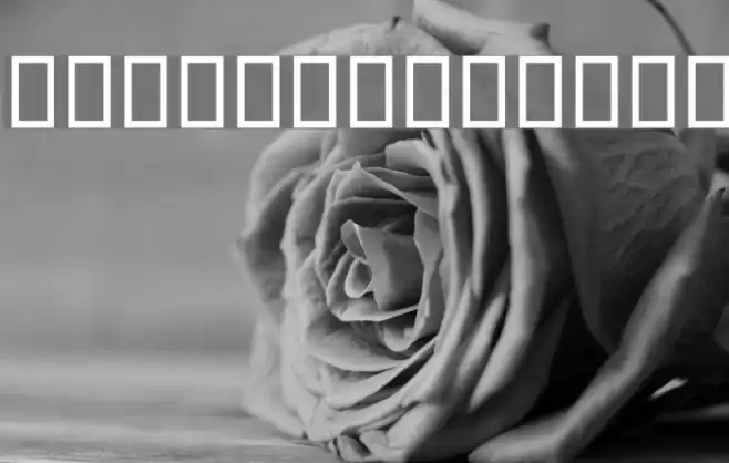 Wood I Font examples