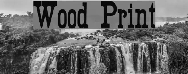 Wood Print Font examples