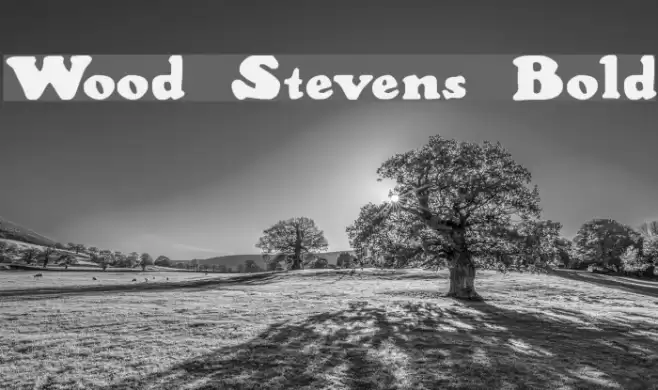Wood Stevens Bold Schriftart examples