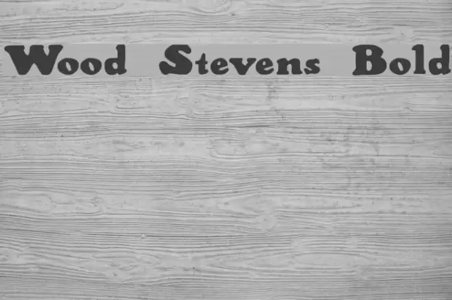 Wood Stevens Bold Schriftart examples