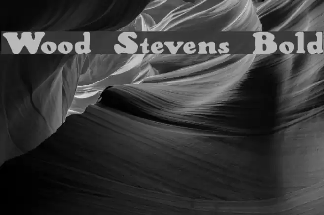 Wood Stevens Bold Schriftart examples