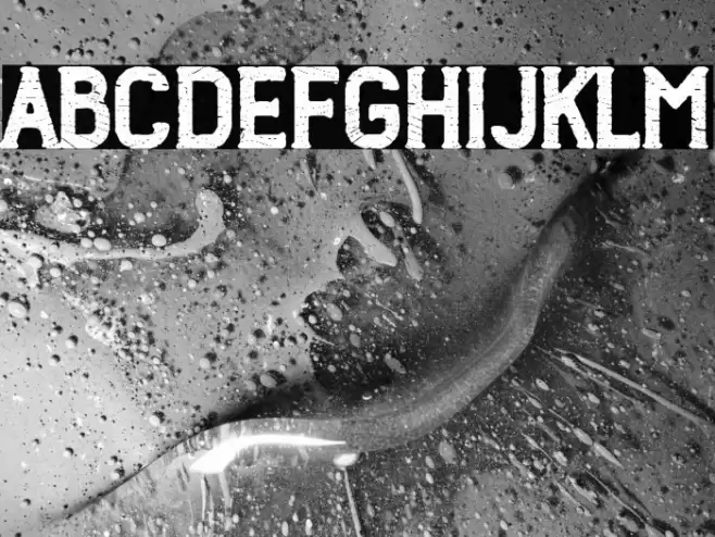 Wood Works 1974 Font examples