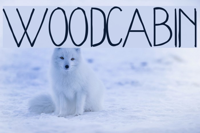 WoodCabin Font examples