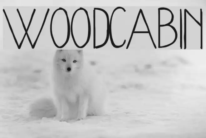 WoodCabin Font examples
