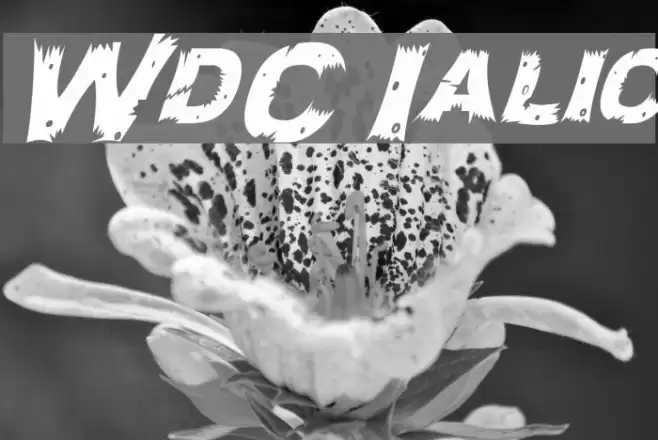 WoodCut Italic Font examples