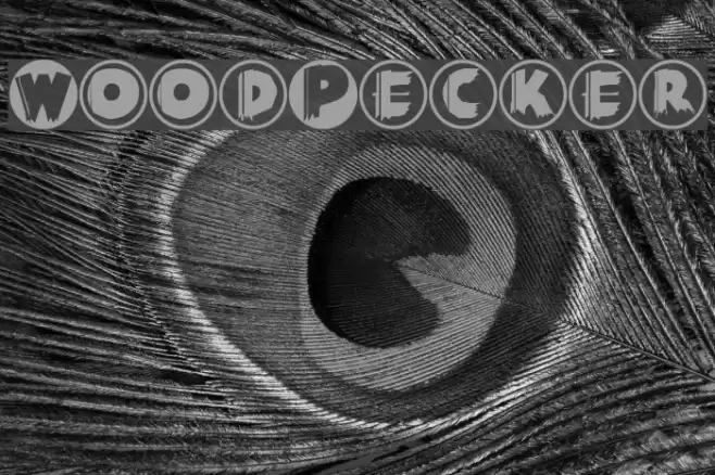 WoodPecker Font examples