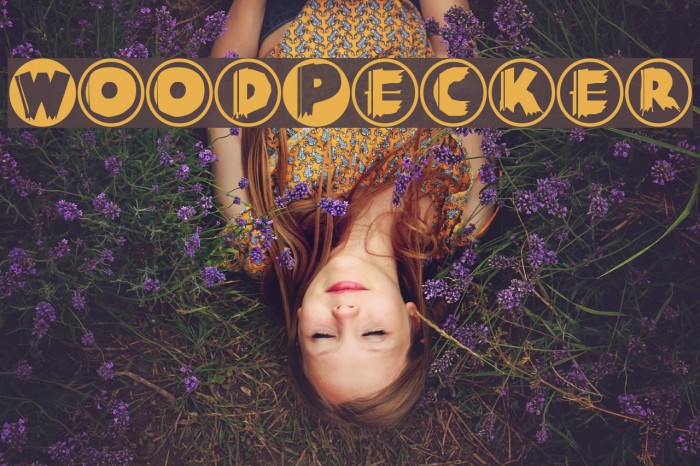 WoodPecker Example 3