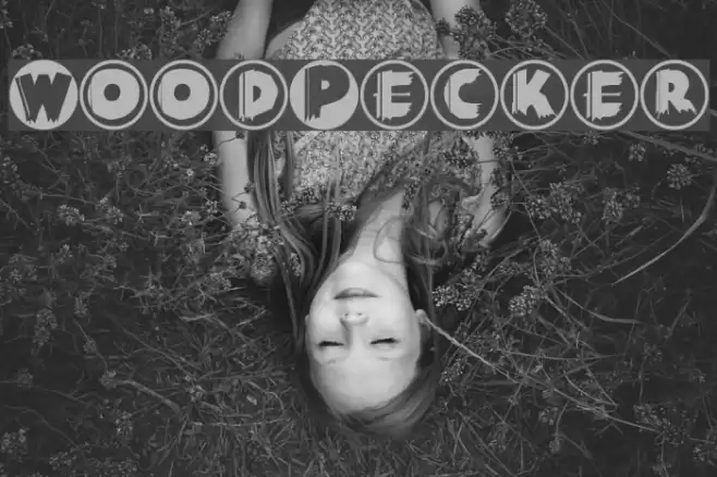 WoodPecker Font examples