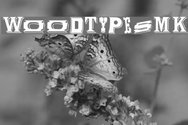 WoodTypesMK Font examples