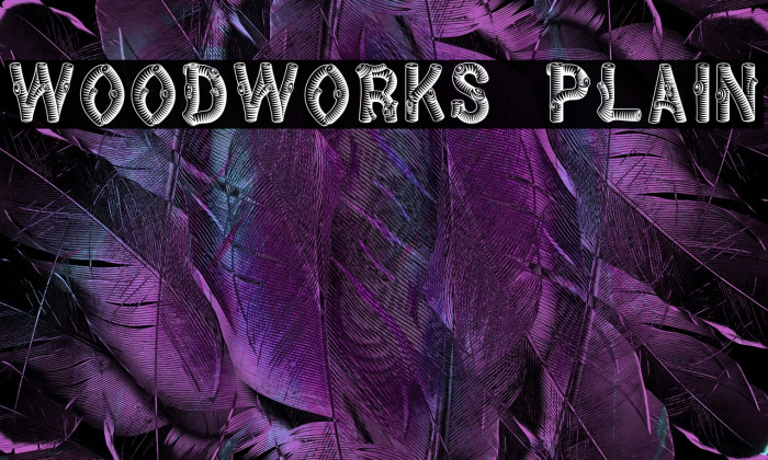 WoodWorks Plain Example 1