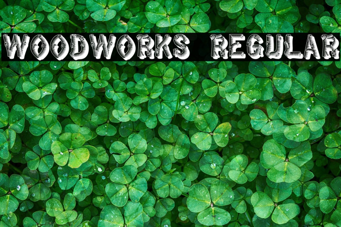 WoodWorks Regular Example 2