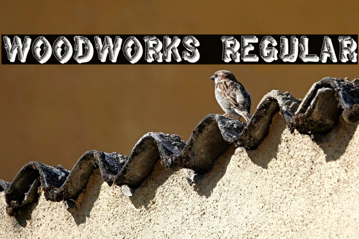 WoodWorks Regular Example 3