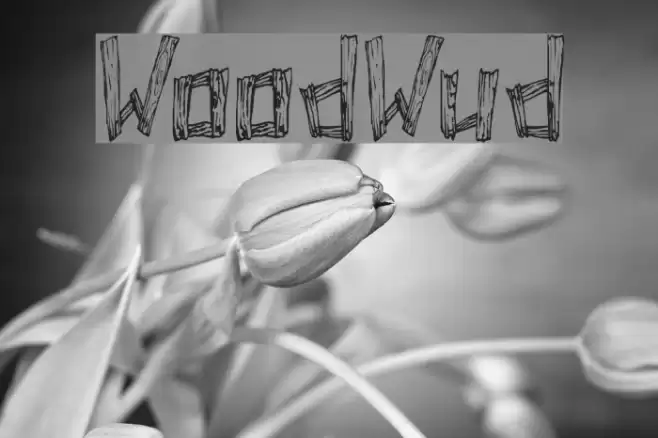 WoodWud Font examples