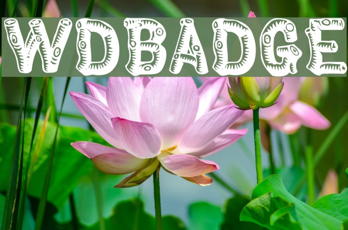 Woodbadge Font examples