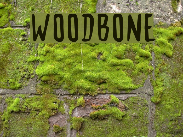 Woodbone Font examples