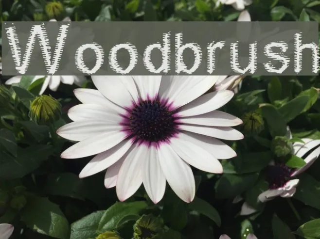 Woodbrush Example 3