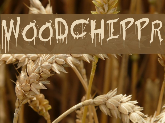 Woodchippr Font examples