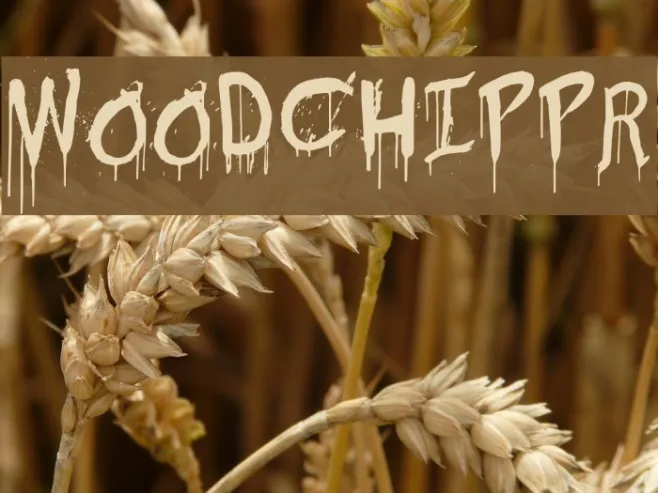 Woodchippr Example 1