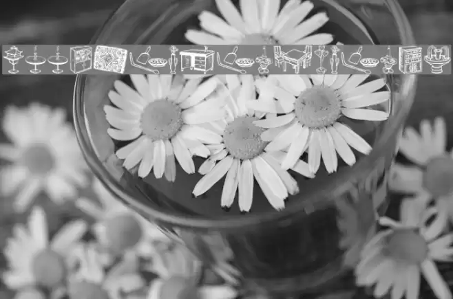 WoodcutFurnitures Font examples