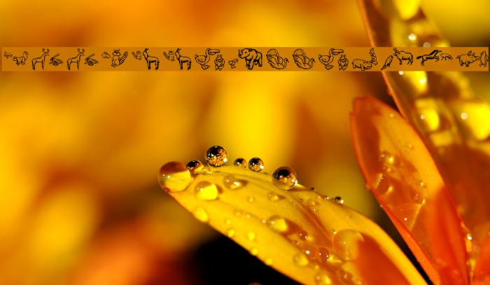 WoodcutMeetings Example 1