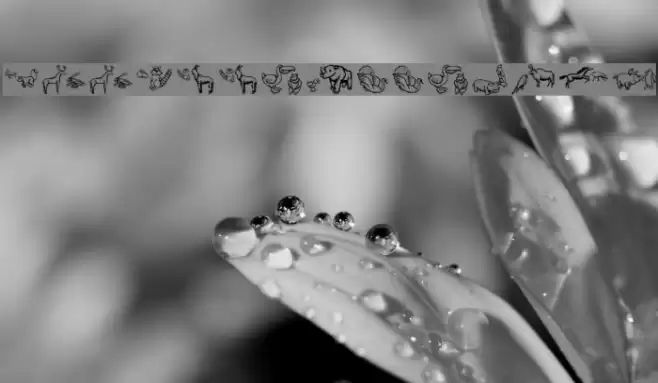 WoodcutMeetings Font examples