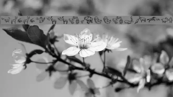 WoodcutMeetings Font examples