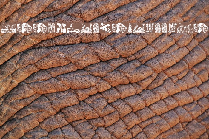 WoodcutsFontissimo Font examples